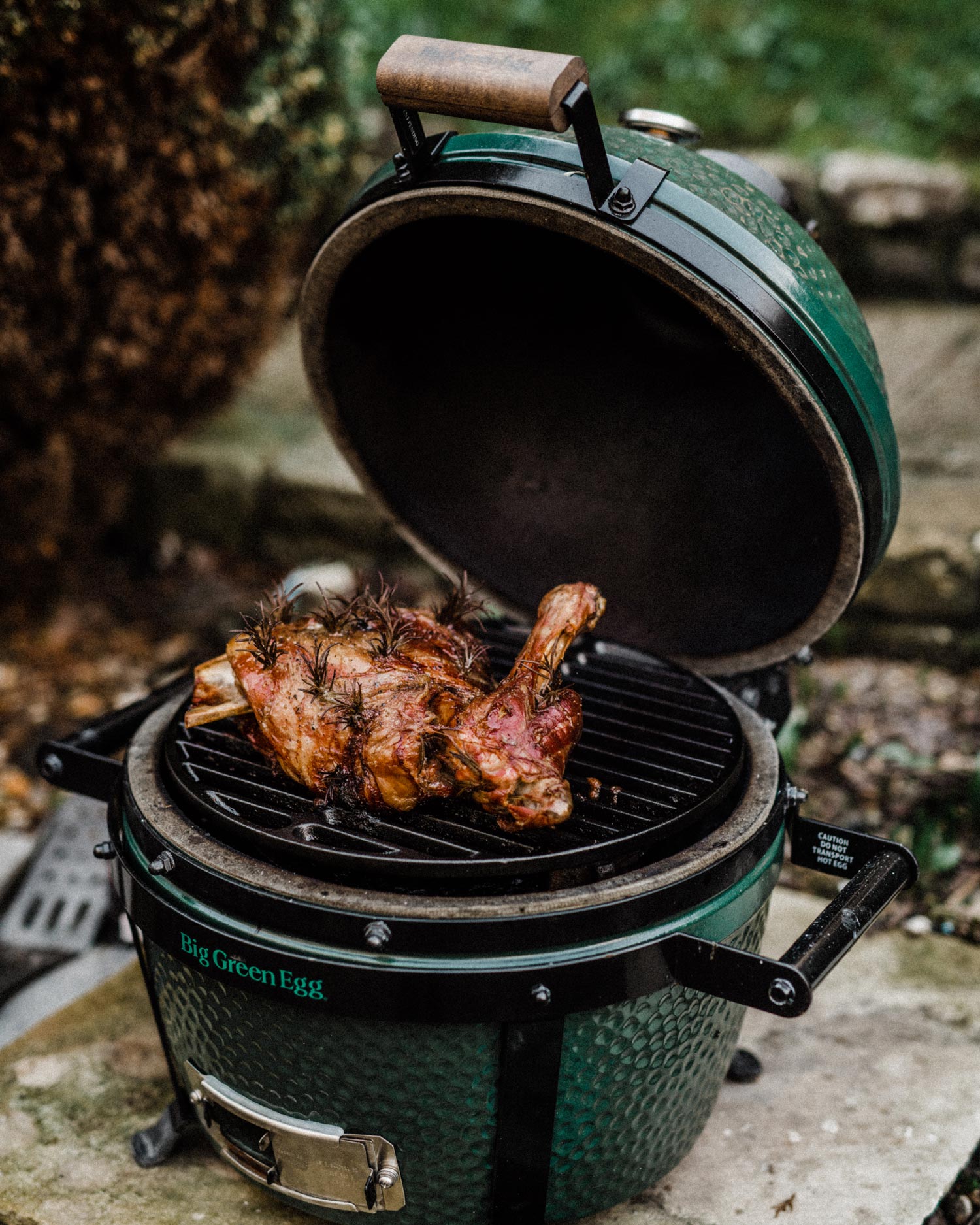 Big Green Egg Minimax